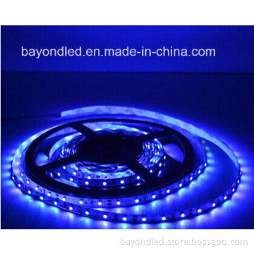 Best Brightness LED Rope Light 5m/Roll 150LEDs Blue Flexible LED Strip Light